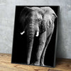 Elephant Shadow Canvas Set