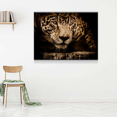Jaguar Canvas Set