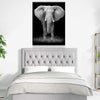 Wise Elephant Canvas Set